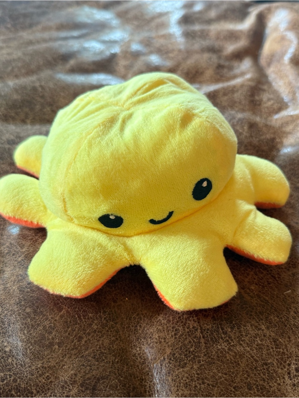 Reversible octopus. Happy/mad